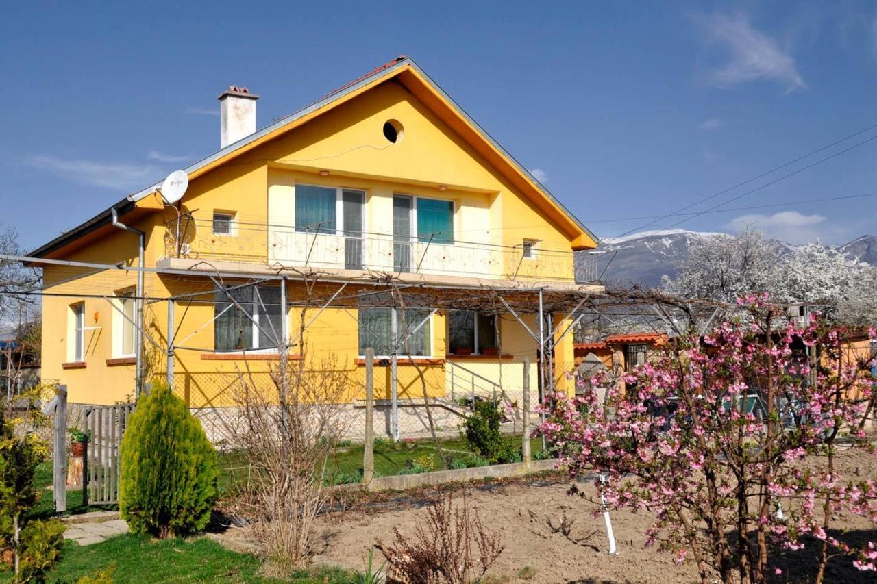 Вила В С. Габарево, Долината На Розите. Gabarevo Extérieur photo