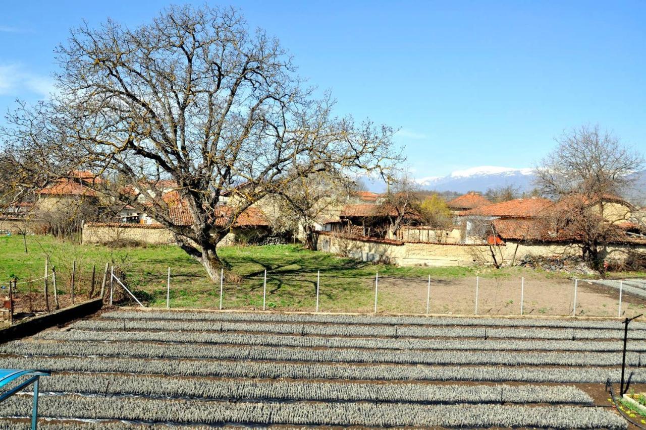 Вила В С. Габарево, Долината На Розите. Gabarevo Extérieur photo