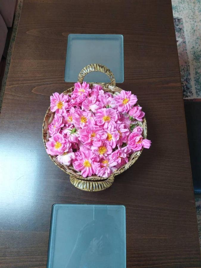 Вила В С. Габарево, Долината На Розите. Gabarevo Extérieur photo