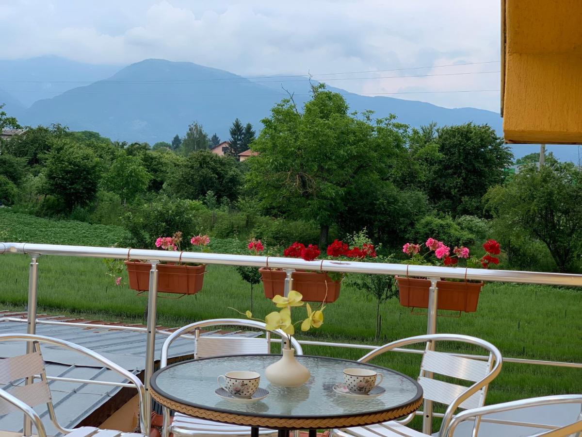 Вила В С. Габарево, Долината На Розите. Gabarevo Extérieur photo