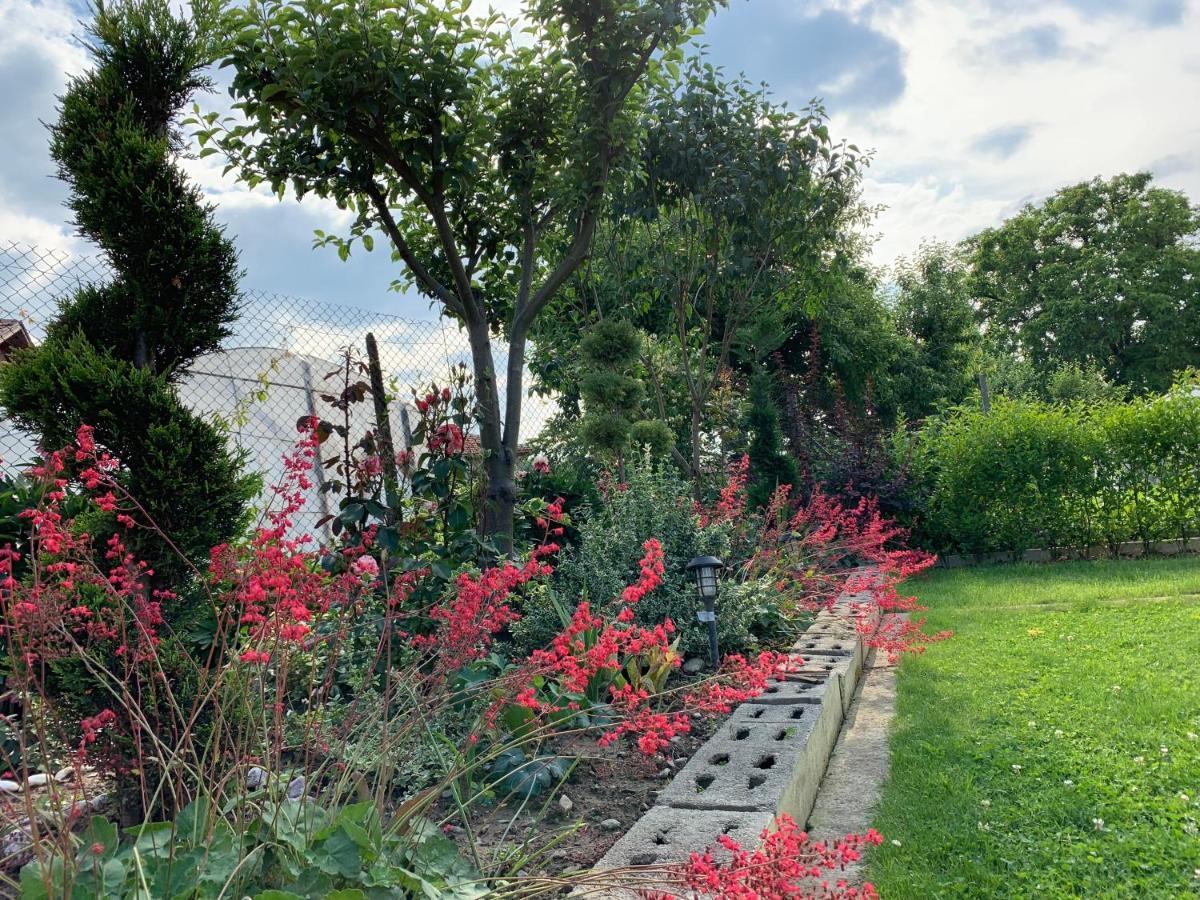 Вила В С. Габарево, Долината На Розите. Gabarevo Extérieur photo